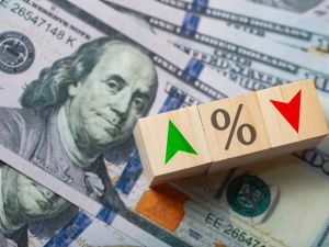 Fed pins US interest rate, future hikes likely