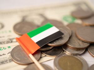 Corporate tax in UAE also includes individuals