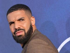 Drake stops concert after fan falls from balcony