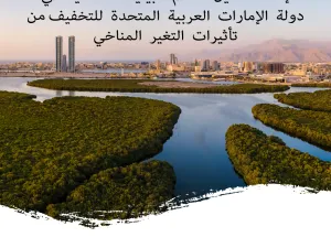 HSBC يلتزم بتمويل مشاريع إعادة تأهيل النظم البيئية الساحلية
