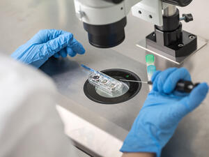 IVF in the MENA Region 