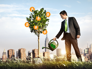 5 Helpful Tips for Crypto Trading
