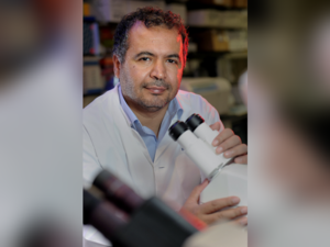 باحثون من وايل كورنيل للطب - قطر يستقصون بروتيناً رئيساً ويفسرون كيف تتسبّب السمنة بالسكري من النوع الثاني
