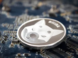 أسعار العملات الرقمية اليوم: SHIBA ترتفع بنسبة 48% والأحمر يسيطر على السوق