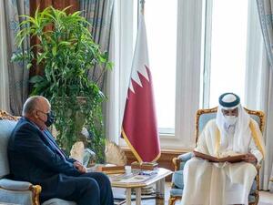 أمير قطر الشيخ تميم بن حمد مستقبلا وزير الخارجية المصري سامح شكري في الدوحة. 