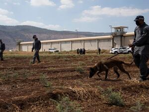الحكومة الفلسطينية تنفي تقارير عن رفضها توفير الحماية لأسرى نفق الحرية
