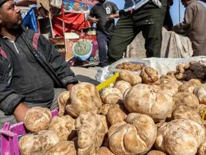 31 قتيلا بهجمات لداعش على جامعي كمأة ورعاة وسط سوريا