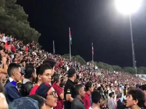 ارشيف