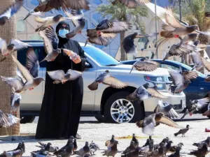 ارشيف