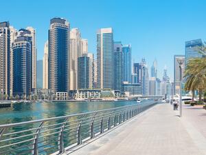 Dubai apartments remain the preferred property type