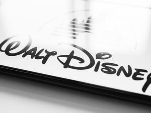Disney shares were trading 5% lower after it reported a steeper earnings decline than Wall Street expected on Tuesday.