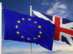 Poll: Britain Predicted to Leave EU with Free Trade Deal