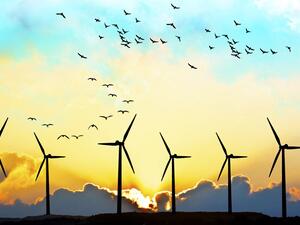 The wind farm will be located 560 miles (896km) north of Riyadh, in the al-Jouf region.