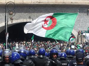 Algerian protesters wave a giant national flag (AFP)