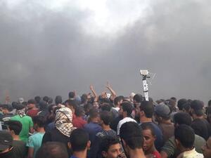 Palestinian protesters (Twitter)