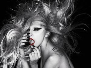 Lady Gaga (Twitter)