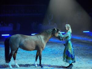 ‘The Magic Dream’ — inspiring the love of nature in the age of digital technology (Twitter)