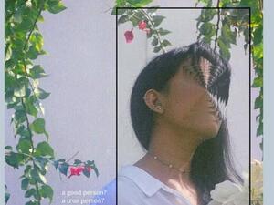 Banat Collective (Twitter)