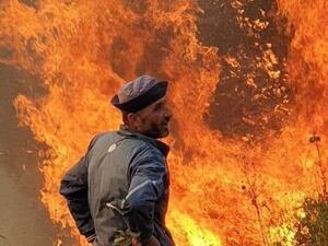 حرائق تلتهم الساحل السوري