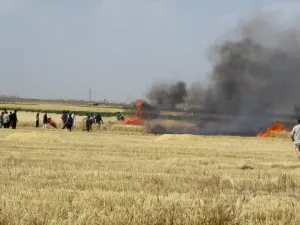 ولفت فيرهوسيل إلى أن المزارعين لا يستطيعون الاهتمام بأراضيهم ومحاصيلهم طوال موسم الحصاد.