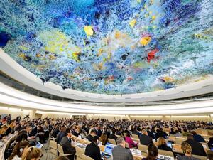  مجلس حقوق الإنسان التابع للمنظمة الدولية 