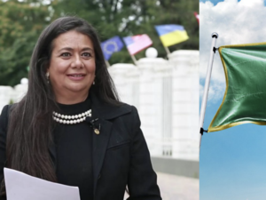 أعلنت دكتورة لبنانية الأصل نادرة ناصيف قيام “مملكة الجبل الأصفر”