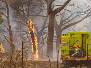 دمرت الحرائق أكثر من 112 ألف كيلومتر مربع من الأراضي