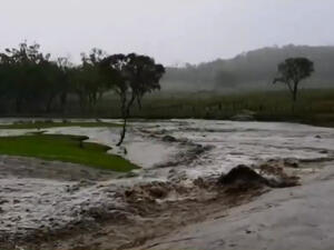 أمطار غزيرة في أستراليا تخمد حرائق غابات