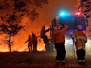 آلاف الأستراليين يفرّون إلى الشواطئ هربا من حرائق الغابات