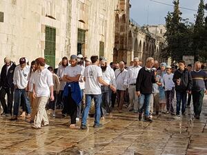 أزيد من 500 مستوطن يقتحمون المسجد الأقصى