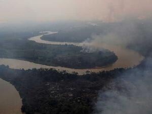 البرازيل تعلن حالة الطوارئ مع اشتعال حرائق في أكبر أراض رطبة بالعالم