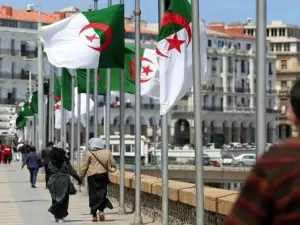الجزائر 