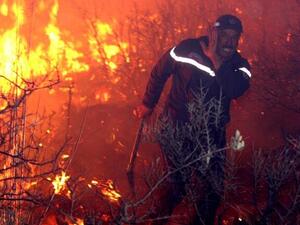 رجل إطفاء جزائري