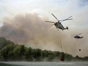 حرائق الغابات في تركيا 