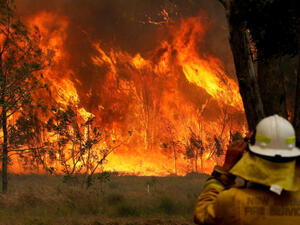 حاكم كاليفورنيا: التغير المناخي هو السبب الرئيسي لحرائق الغابات في البلاد