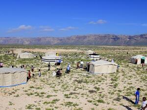 سقطرى اليمنية