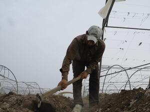 الأردن يسمح للعمال المصريين المنتهية تصاريح عملهم بالعودة