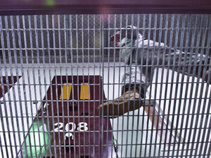 عالم نفس من "سي آي ايه" يدافع أمام محكمة بغوانتانامو عن استخدام التعذيب