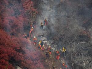 نحو 600 رجل إطفاء يكافحون حريقا في كاليفورنيا