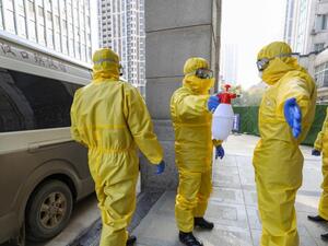 لأول مرة منذ 5 أشهر.. لا إصابات جديدة بكورونا في أستراليا