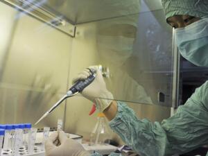 الجزائر تعلّق رحلاتها الجوية والبحرية مع أوروبا ودول عربية وأفريقية