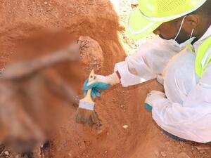 انتشال 225 جثة ورفات وأشلاء من طرابلس وترهونة