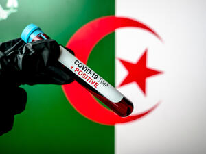 شركات التكنولوجيا الناشئة في الجزائر تنتعش بفعل الحجر الصحي 