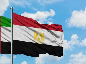  تخفيف القيود على العمالة الأجنبية هو تحديداً من أهم المحفزات التي شرعت الإمارات في تطبيقها أخيراً