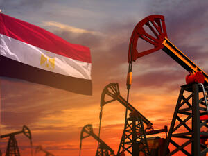 دعم المواد البترولية يهوى بنحو 77% في 2019-2020 