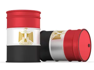 مصر توقّع عقود تنقيب عن النفط والغاز في البحر الأحمر