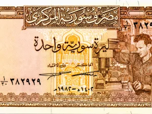 المجاعة تُعرف بأنها ندرة في الغذاء على نطاق واسع تسببها عدة عوامل، بما في ذلك الحرب والتضخم وفشل المواسم الزراعية وعدم التوازن السكاني أو السياسات الحكومية 