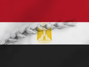 مصر تدرس إنشاء مخازن عملاقة للسلع الأساسية