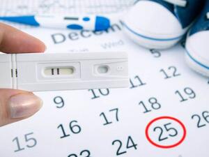 كيف أحسب أيام التبويض بعد الدورة بدقة لحمل ناجح