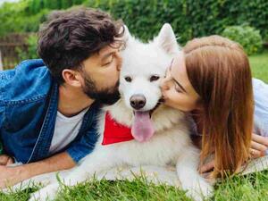 تفضل 50 % من مالكات الكلاب الأليفة قضاء الوقت مع الكلب أكثر من شركائهن